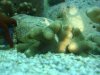 DSC04172.jpg