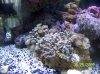 Picture 031.jpg