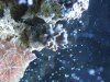 coral 001.jpg
