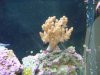 tank-after-move_076.jpg