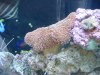 tank-after-move_0766.jpg