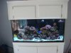 tank-after-move_0768.jpg