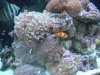 tank-after-move_0767.jpg