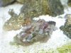 DSCN4338.jpg