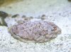 DSCN4339.jpg