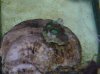 DSCN4310.jpg