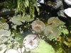 DSC00005.jpg