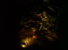 DSC00189.jpg