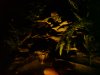 DSC00190.jpg