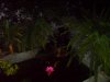 DSC00206.jpg