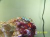 Picture 055.jpg