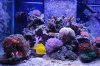 DSC_0169_1.jpg