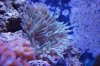 DSC_0211_1.jpg