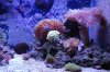 DSC_0173_1.jpg