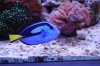 CU6_DSC_0040.jpg
