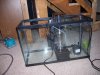 100_0573.jpg