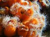 2009_091608729timelapse0004.JPG