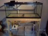 downsized_0915090909.jpg