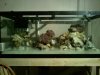 downsized_0915092311.jpg