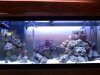 downsized_0917090954.jpg