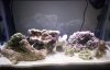 Bare Tank 015.jpg