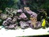 fishtank1.jpg