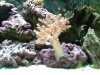 fishtank8.jpg