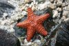 Honeymoon in St. Lucia 001.jpg