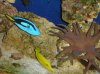 DSC02517.jpg