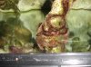 DSC02486.jpg
