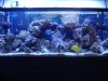 DSC02461.jpg