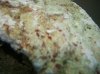 fish 008.jpg