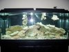 fish 015.jpg