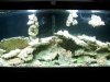 fish 017.jpg