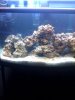 tank6.jpg