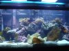 DSC02465.JPG