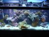 DSC02479.JPG