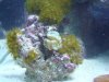 DSC02467.JPG