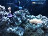 reef3.jpg
