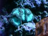 DSC00798.jpg
