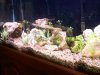 downsized_1014090739.jpg