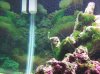100_0679.jpg