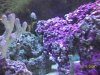 100_0675.jpg