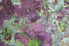 100_06501.jpg