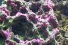 100_06801.jpg
