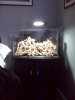 IMG00056.jpg