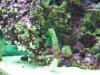 100_0683.jpg