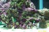 100_06821.jpg