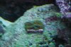 New stuff 016.jpg
