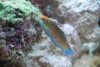 New stuff 047.jpg